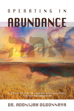 Operating in Abundance | Dr. Adonijah Ogbonnaya – paperback
