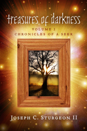 Treasures of Darkness: Volume I: Chronicles of a Seer  |  Joseph C. Sturgeon II  - paperback